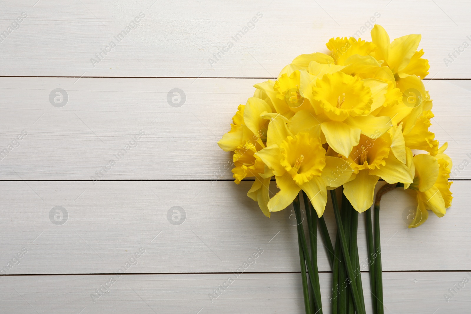 Photo of Beautiful daffodil bouquet on white wooden table, top view. Space for text