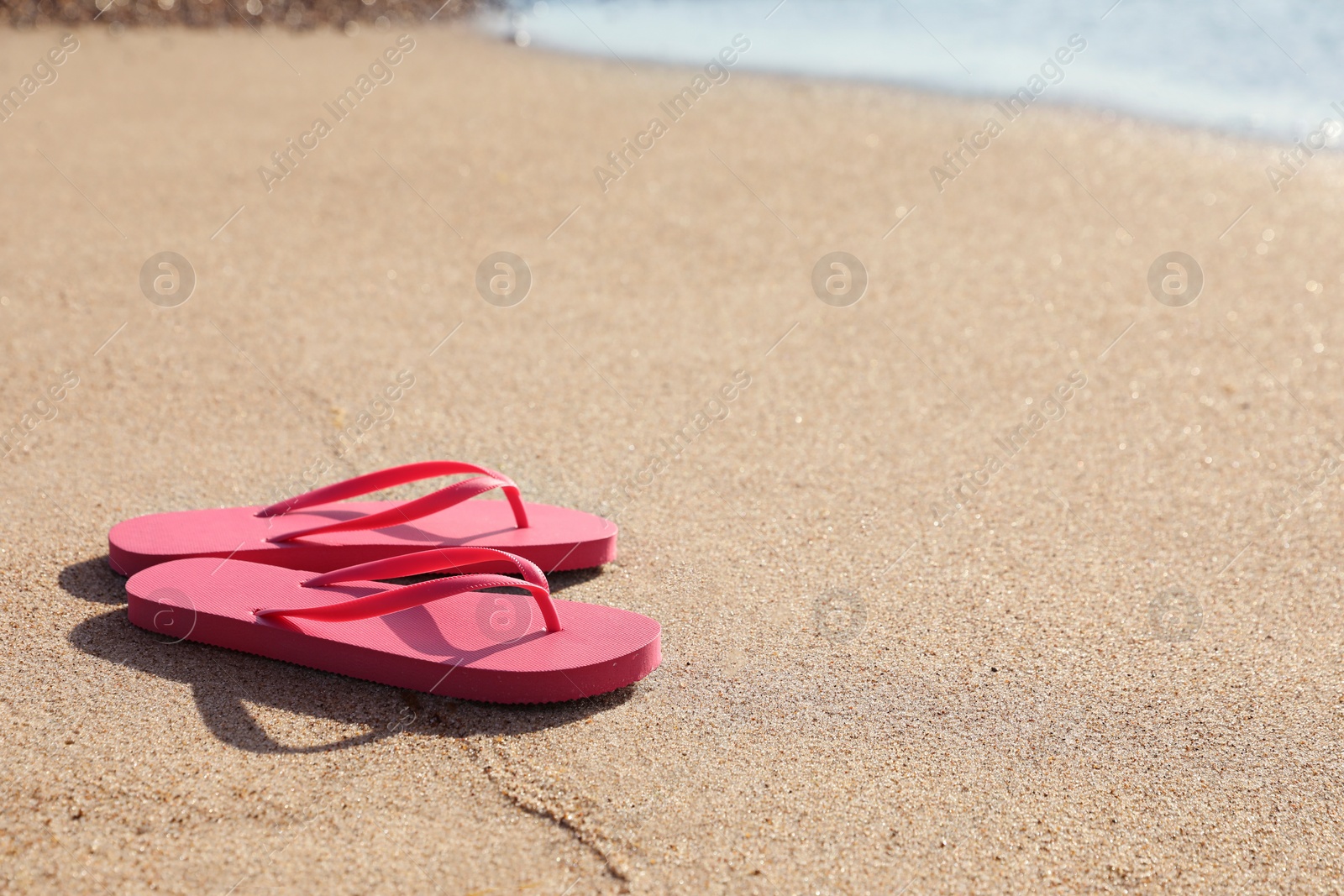 Photo of Stylish bright pink flip flops on sand near sea. Space for text