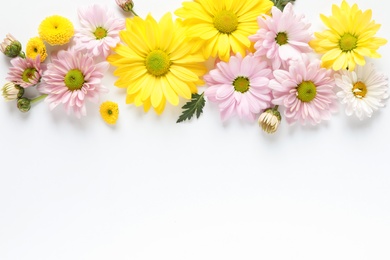 Beautiful chamomile flowers on white background, flat lay with space for text