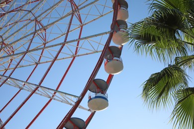 Photo of Beautiful large Ferris wheel near palm tree against blue sky, low angle view