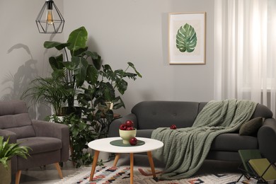 Photo of Red apples on coffee table, sofa, armchair and houseplants in room