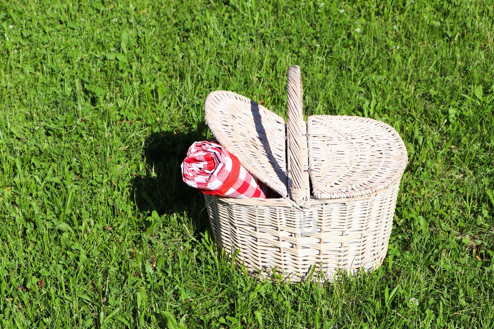 Photo of Rolled checkered tablecloth in picnic basket on green grass outdoors, space for text