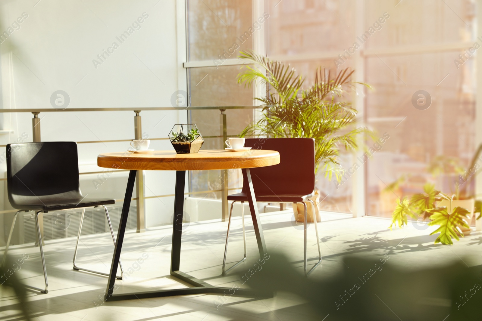 Photo of Trendy room interior with different home plants