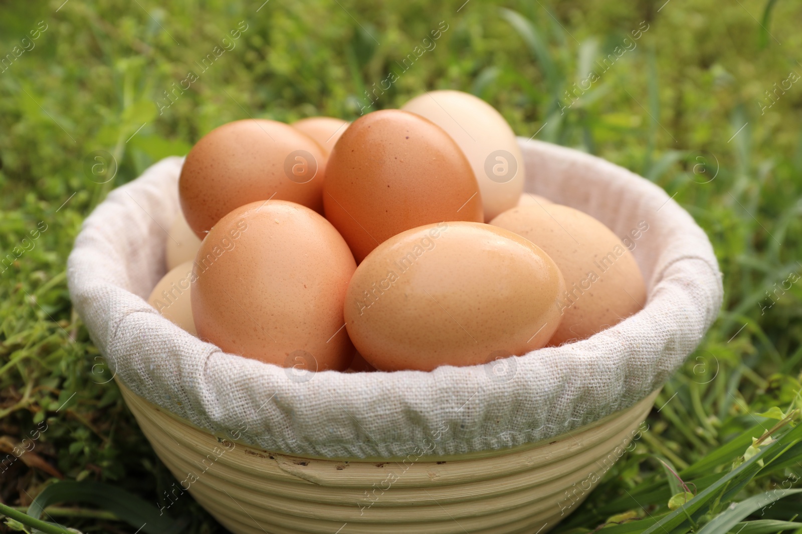 Photo of Fresh chicken eggs in basket on green grass outdoors, closeup