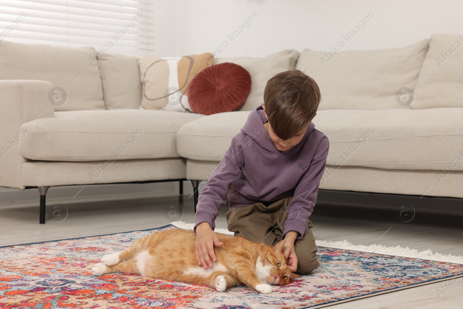 Photo of Little boy petting cute ginger cat on carpet at home