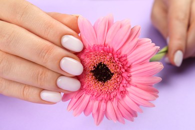 Photo of Woman with white polish on nails holding flower on violet background, closeup