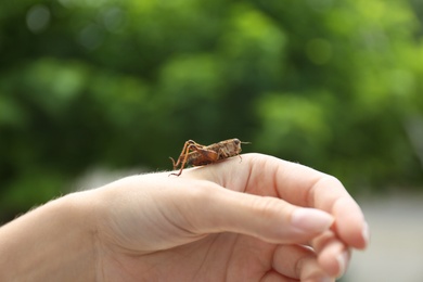Woman with brown grasshopper outdoors, closeup view