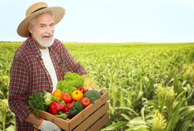 Harvesting season. Farmer holding wooden crate with crop in field