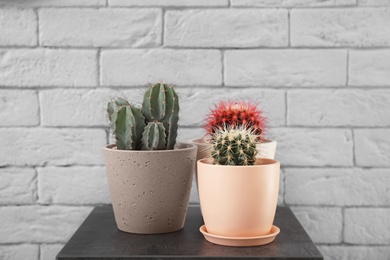 Photo of Beautiful cacti in flowerpots on table near brick wall