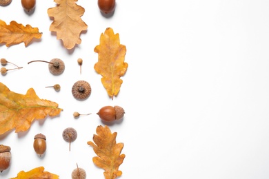 Flat lay composition with autumn leaves on white background. Space for text