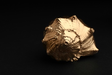 Photo of Shiny gold seashell on black background. Space for text