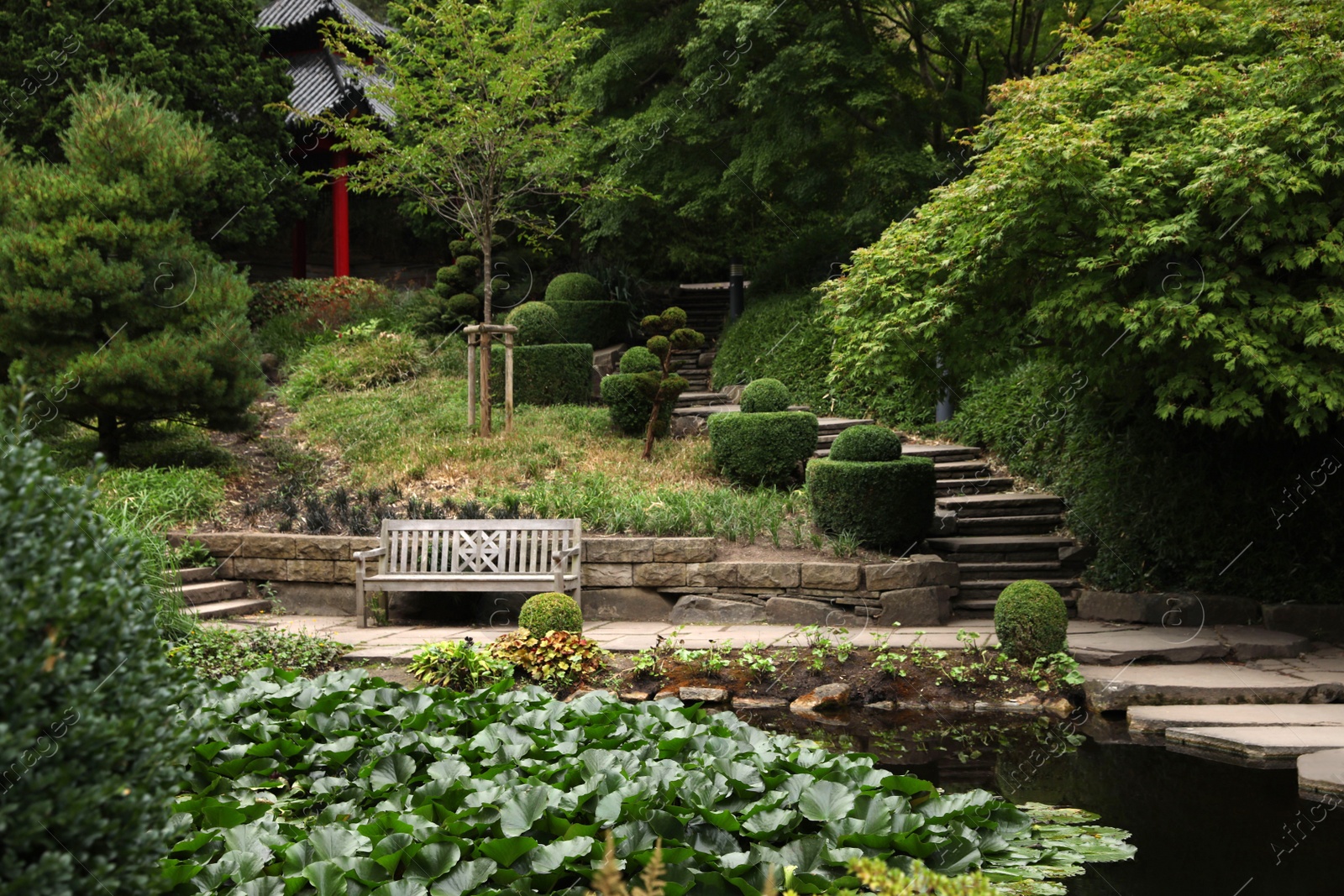 Photo of Beautiful view of park with pond and green plants