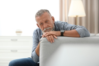 Portrait of handsome mature man sitting on sofa in room