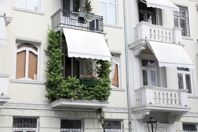 Photo of Beautiful balcony with climbing plant and flowers on white building outdoors