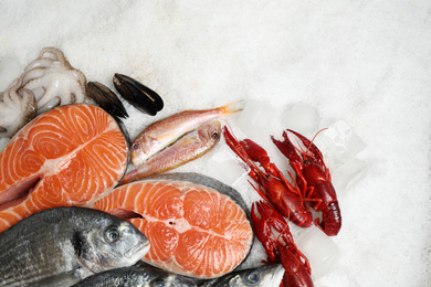 Photo of Fresh fish and seafood on ice, flat lay