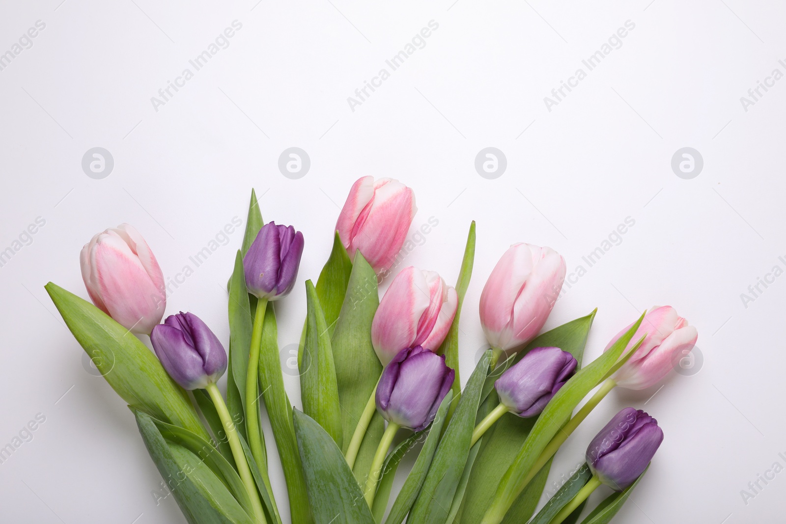 Photo of Beautiful tulips on light background, flat lay. Space for text