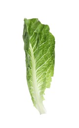 Photo of Fresh leaf of green romaine lettuce isolated on white