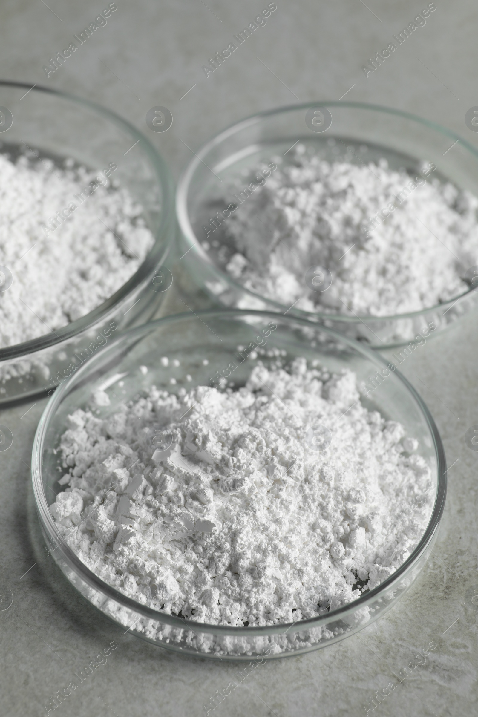 Photo of Petri dishes with calcium carbonate powder on light grey table