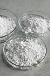 Photo of Petri dishes with calcium carbonate powder on light grey table