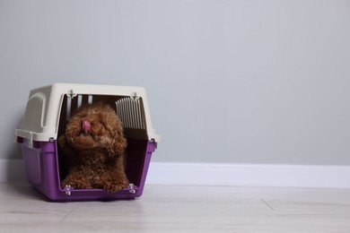 Photo of Travel with pet. Fluffy dog in carrier on floor indoors, space for text