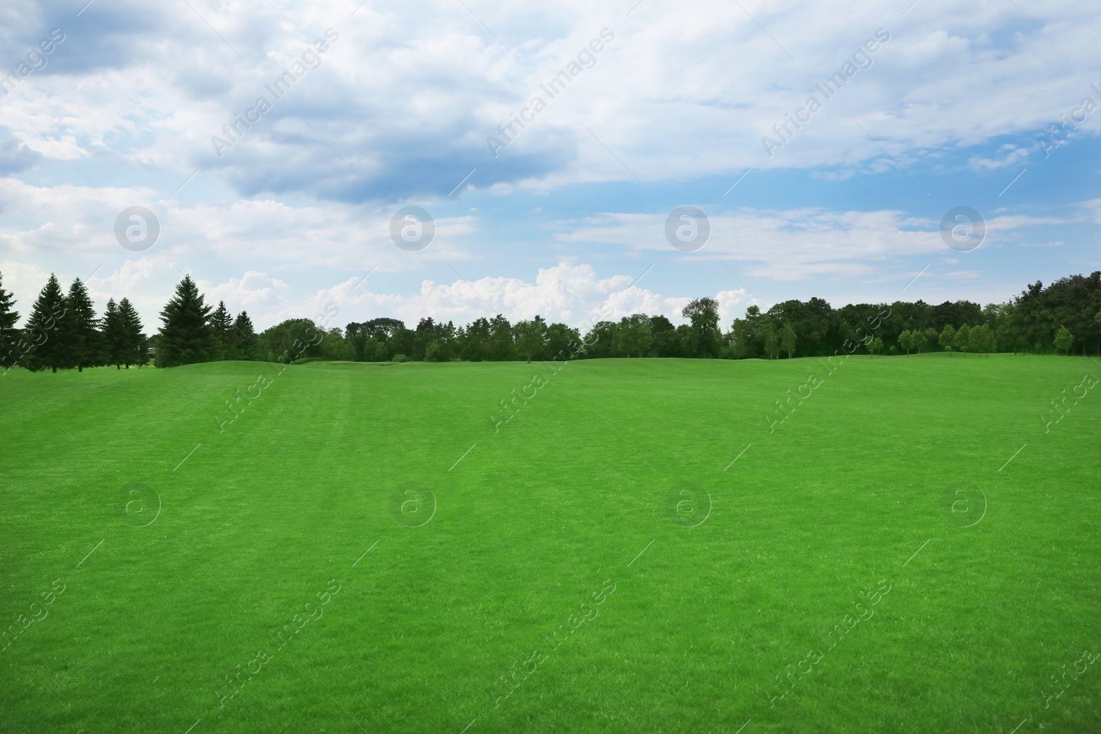 Image of Beautiful view of park with green grass on sunny day