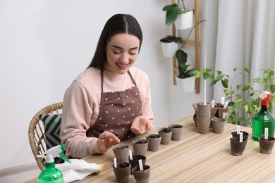 Woman planting vegetable seeds into peat pots with soil at wooden table indoors