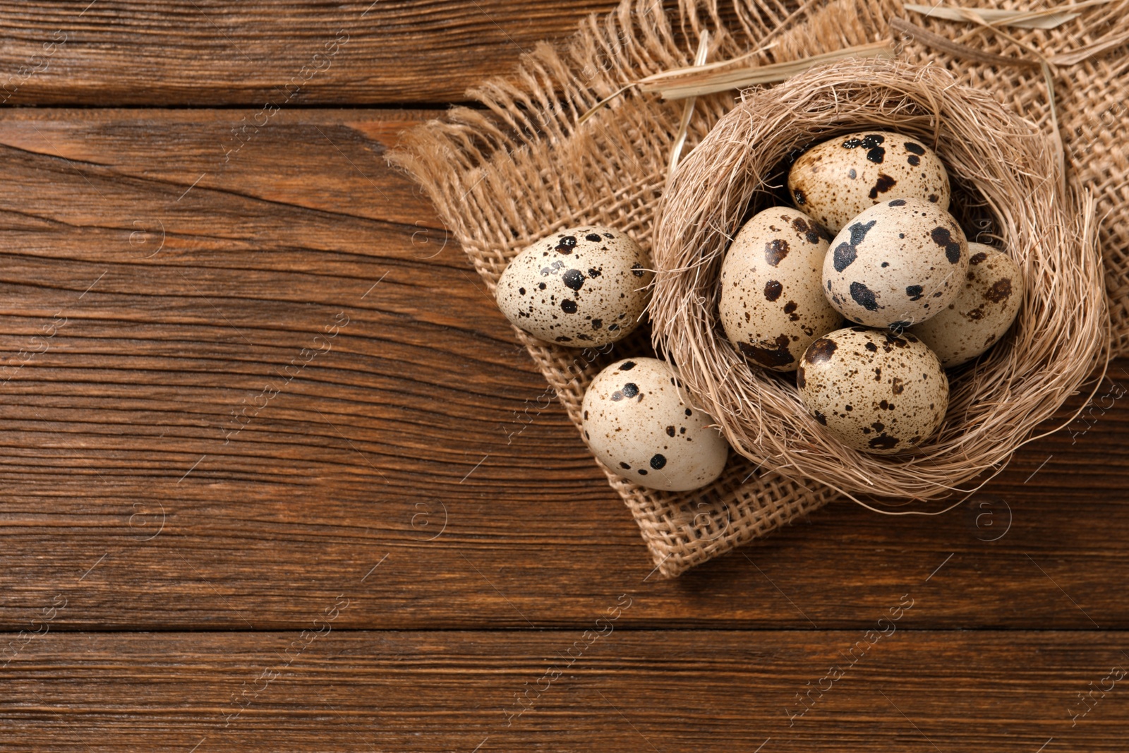 Photo of Nest and quail eggs on wooden table, flat lay. Space for text