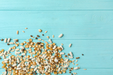 Photo of Mixed vegetable seeds on light blue wooden background, flat lay. Space for text