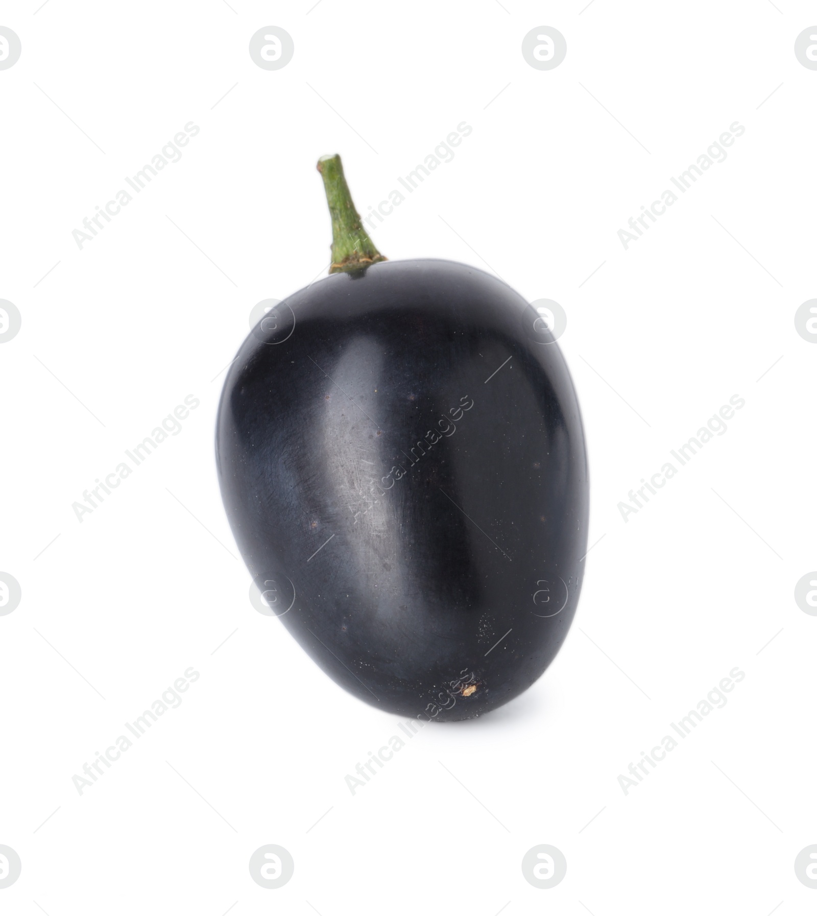 Photo of One ripe dark blue grape isolated on white