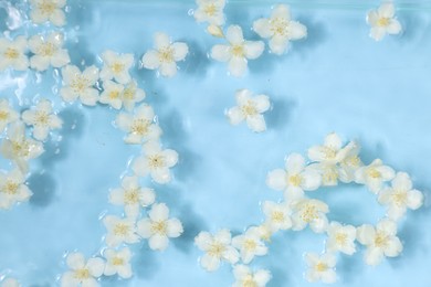 Photo of Beautiful jasmine flowers in water on light blue background, top view