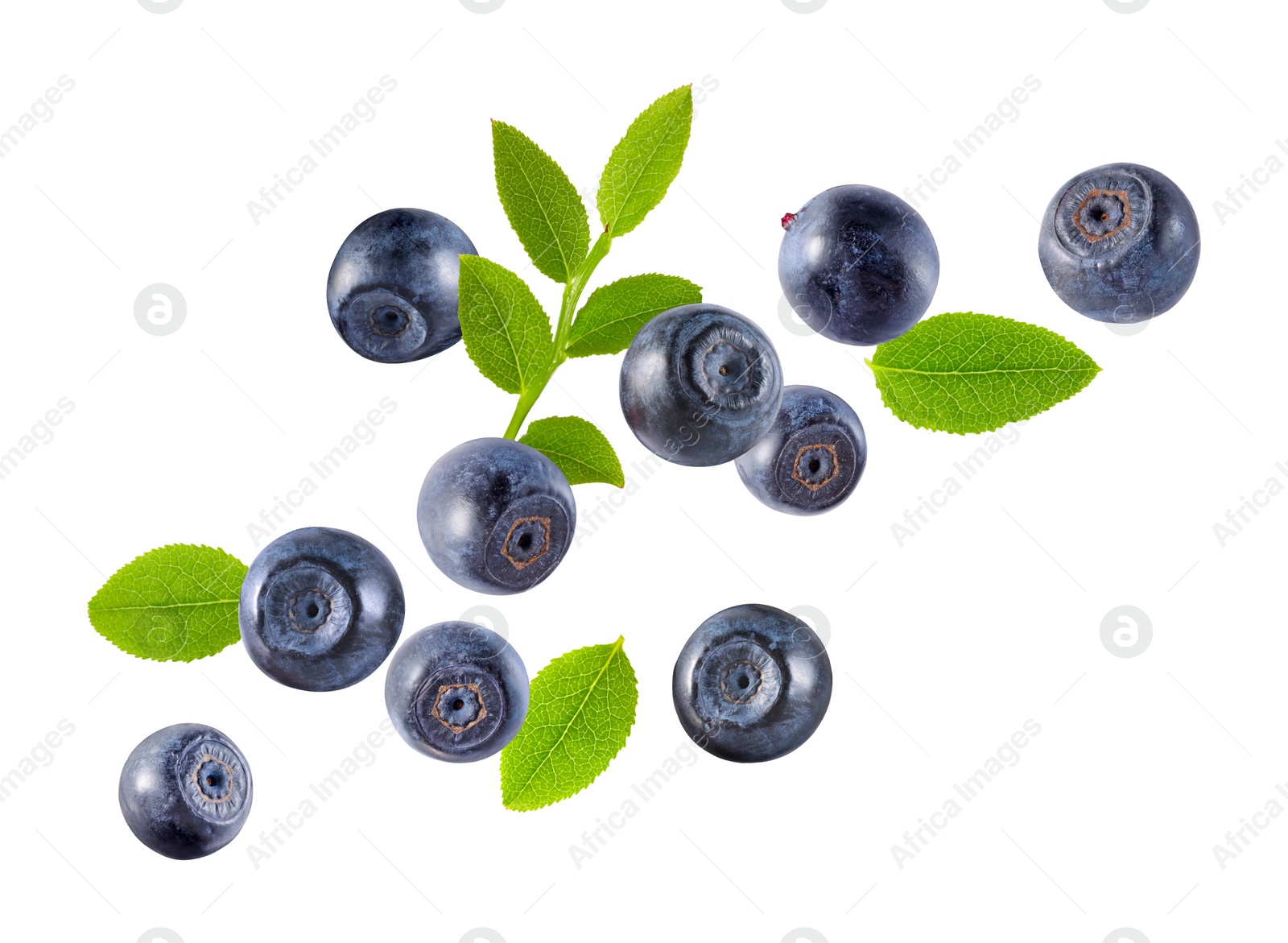 Image of Fresh ripe bilberries and green leaves flying on white background