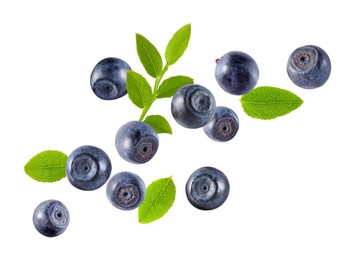 Image of Fresh ripe bilberries and green leaves flying on white background