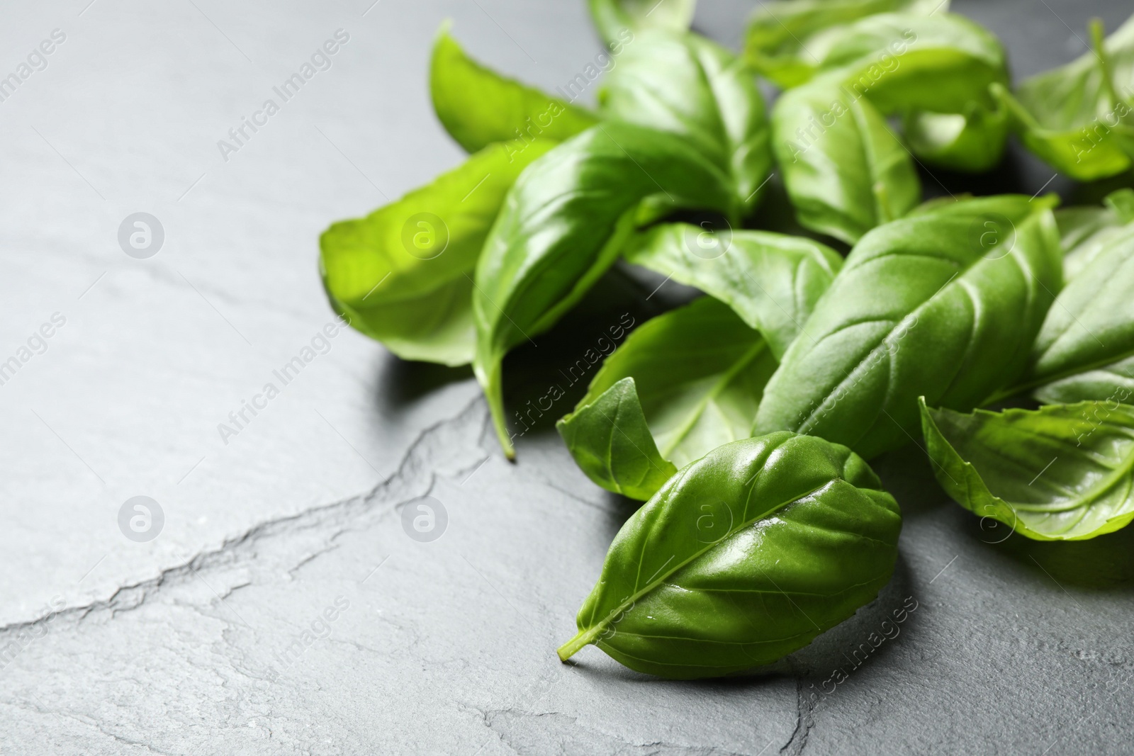 Photo of Fresh basil leaves on grey table, closeup