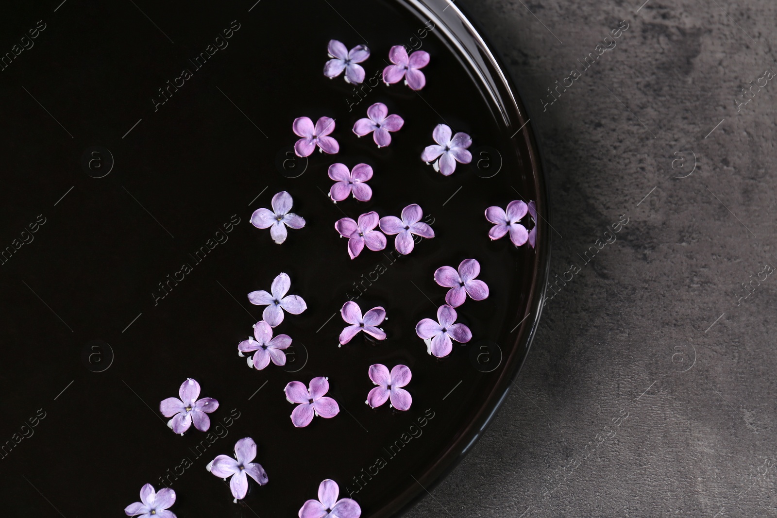 Photo of Tray with water and beautiful lilac flowers on grey table, top view. Space for text