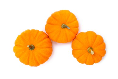 Photo of Fresh ripe pumpkins on white background, top view