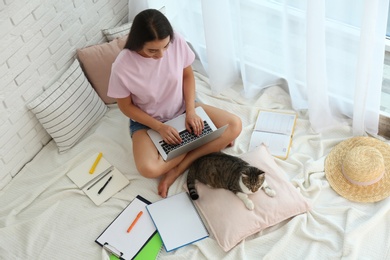 Photo of Young woman with cat working on laptop near window, view from above. Home office concept