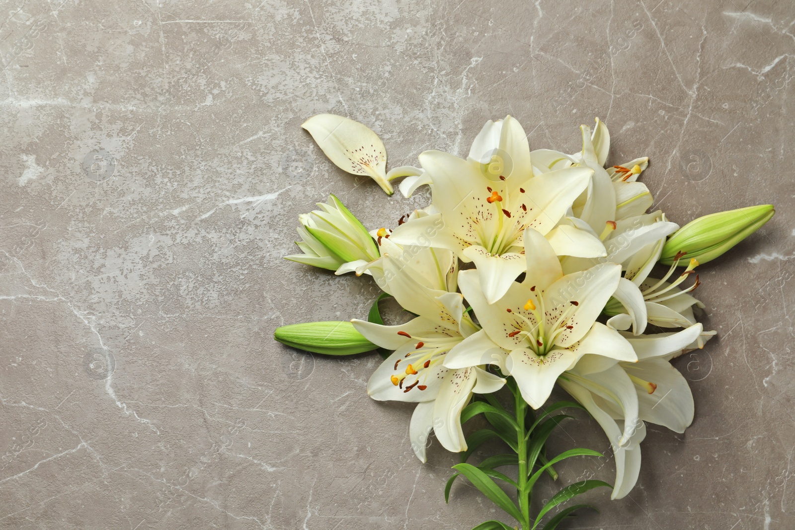 Photo of Flat lay composition with lily flowers on grey background