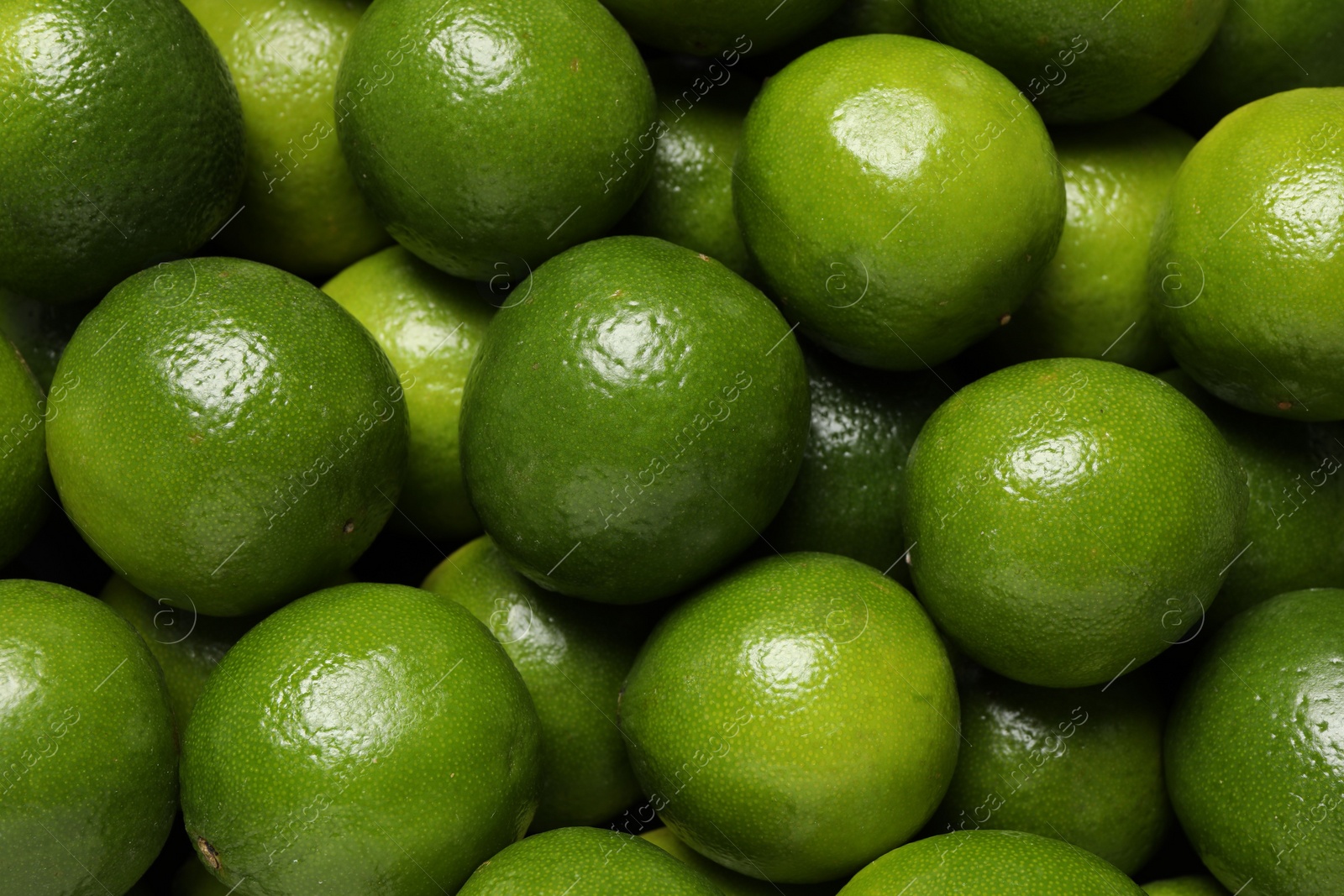 Photo of Many fresh ripe limes as background, top view