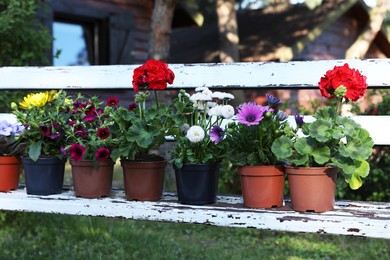 Photo of Different beautiful potted flowers on weathered white wooden bench in garden