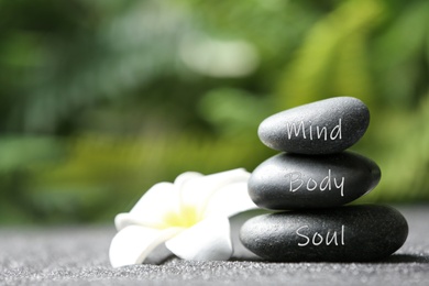Image of Stones with words Mind, Body, Soul and plumeria flower on sand. Zen lifestyle
