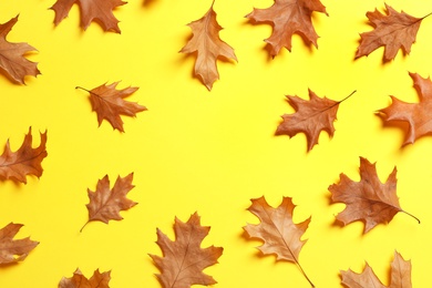 Flat lay composition with autumn leaves and space for text on color background