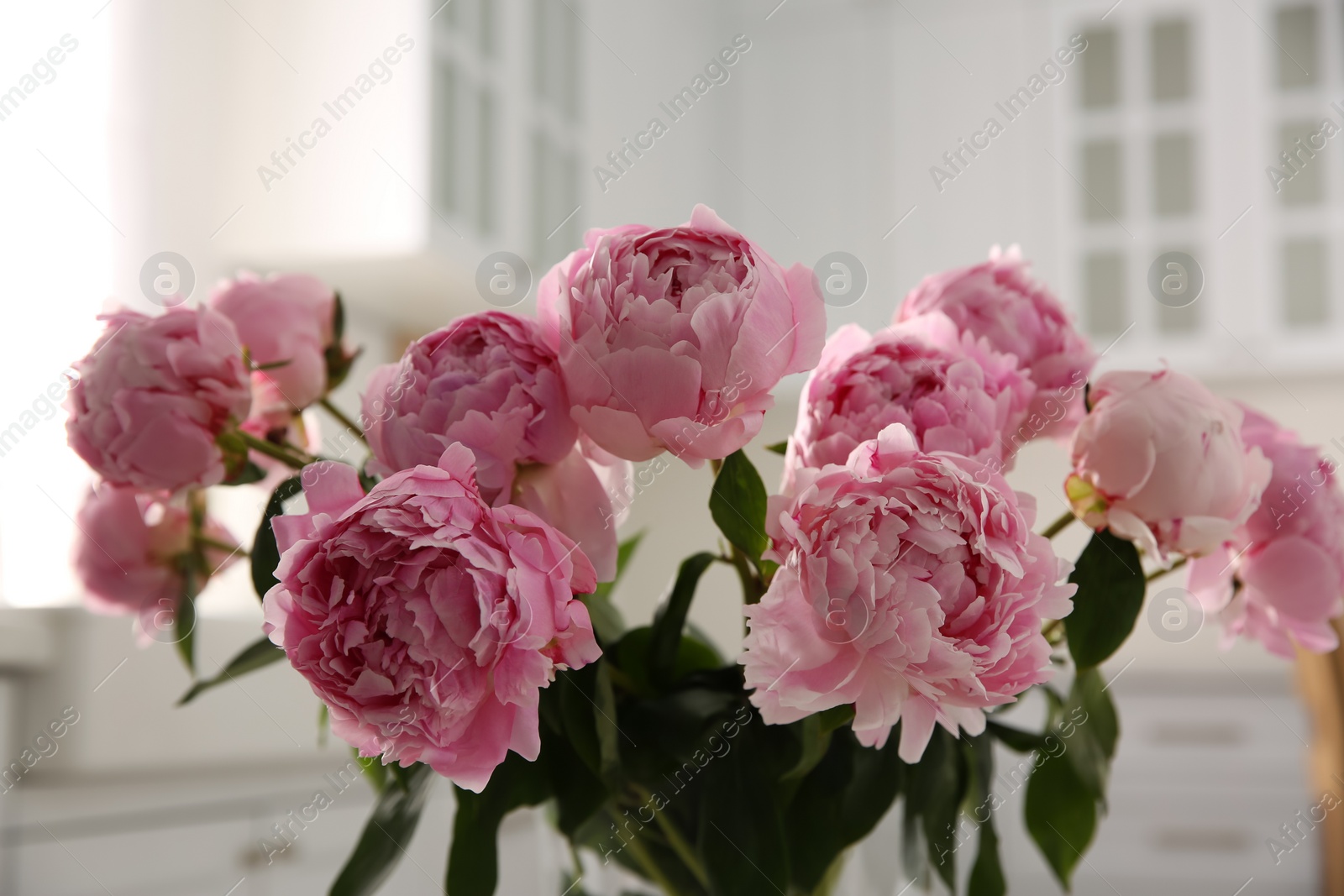 Photo of Bouquet of beautiful fresh pink peonies indoors, closeup