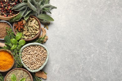 Photo of Different herbs and spices on grey table, flat lay. Space for text