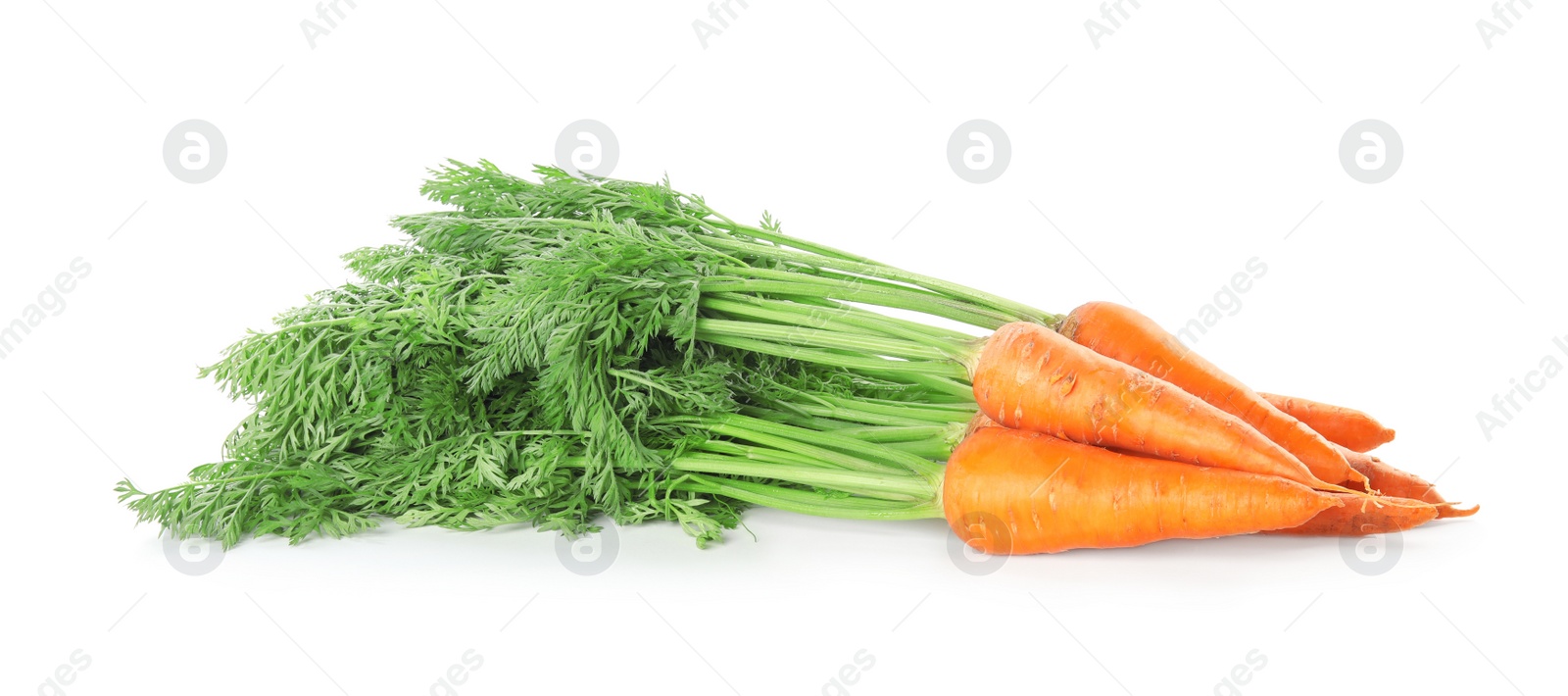 Photo of Bunch of fresh ripe carrots isolated on white