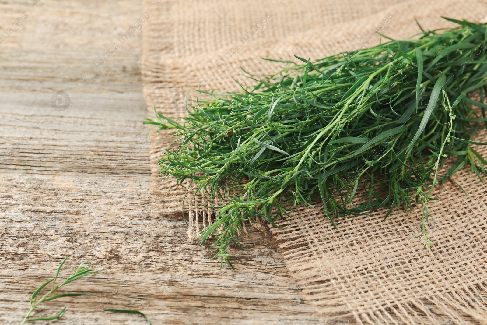 Photo of Fresh tarragon sprigs on wooden table. Space for text