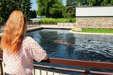 Photo of Little girl watching wild hippopotamus near pond in zoo, back view