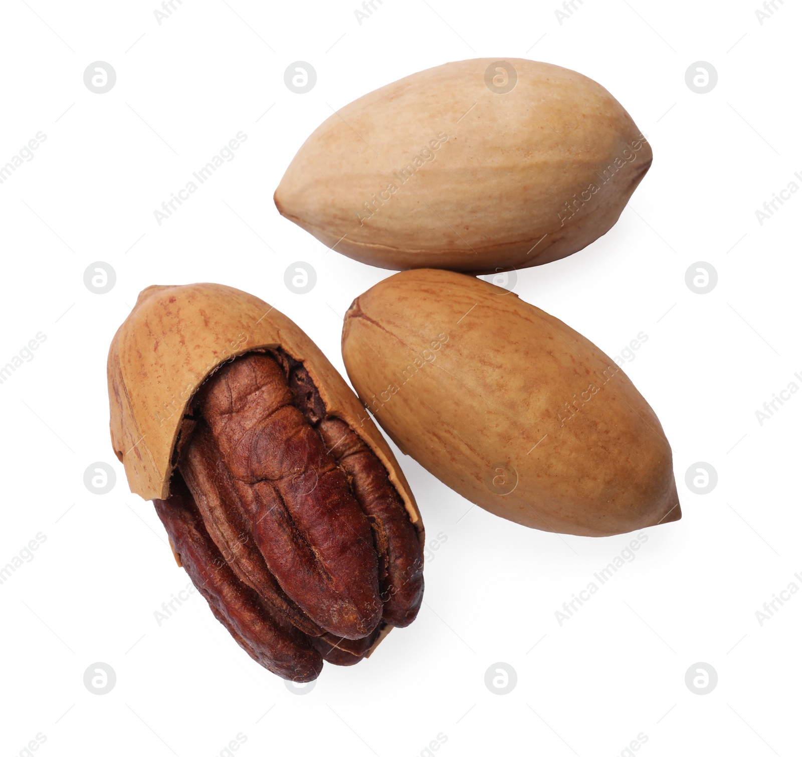 Photo of Three tasty pecan nuts isolated on white