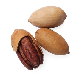 Three tasty pecan nuts isolated on white