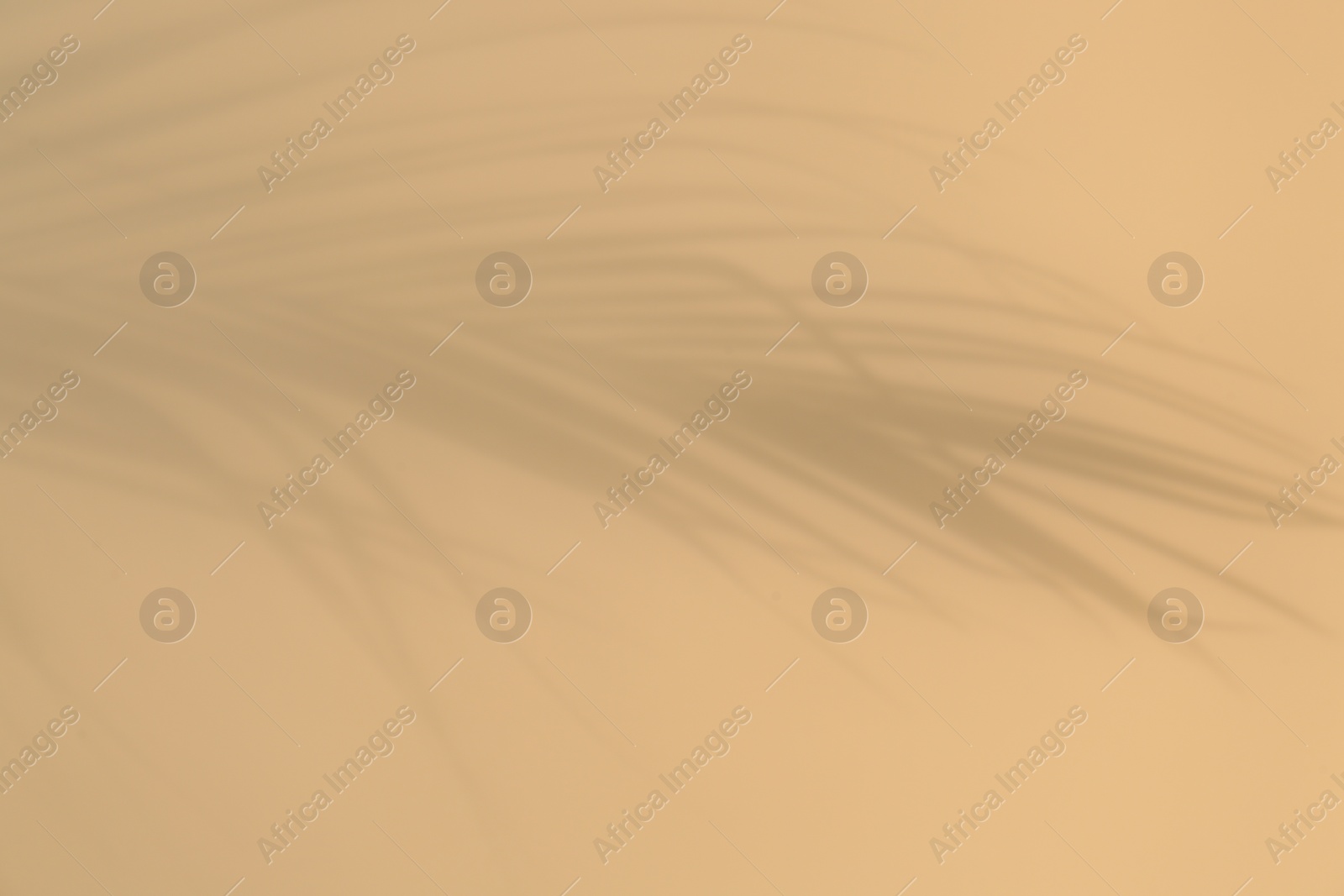 Photo of Shadow of tropical palm leaves on beige background