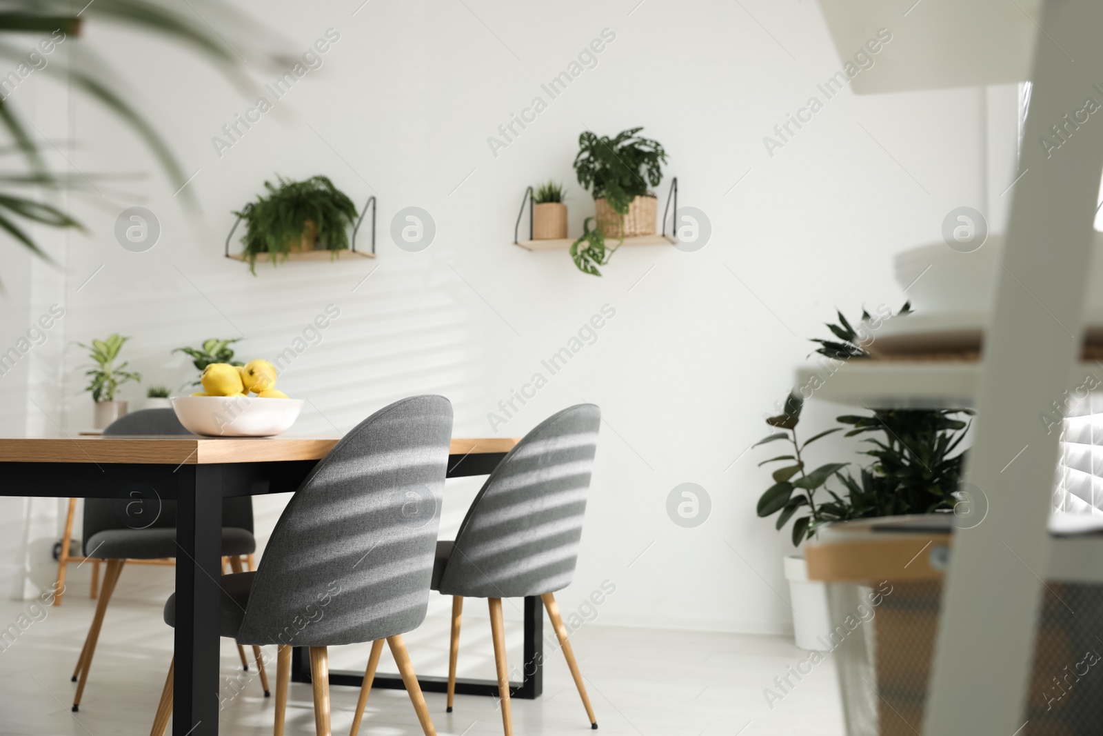 Photo of Stylish room interior with green plants. Home decoration